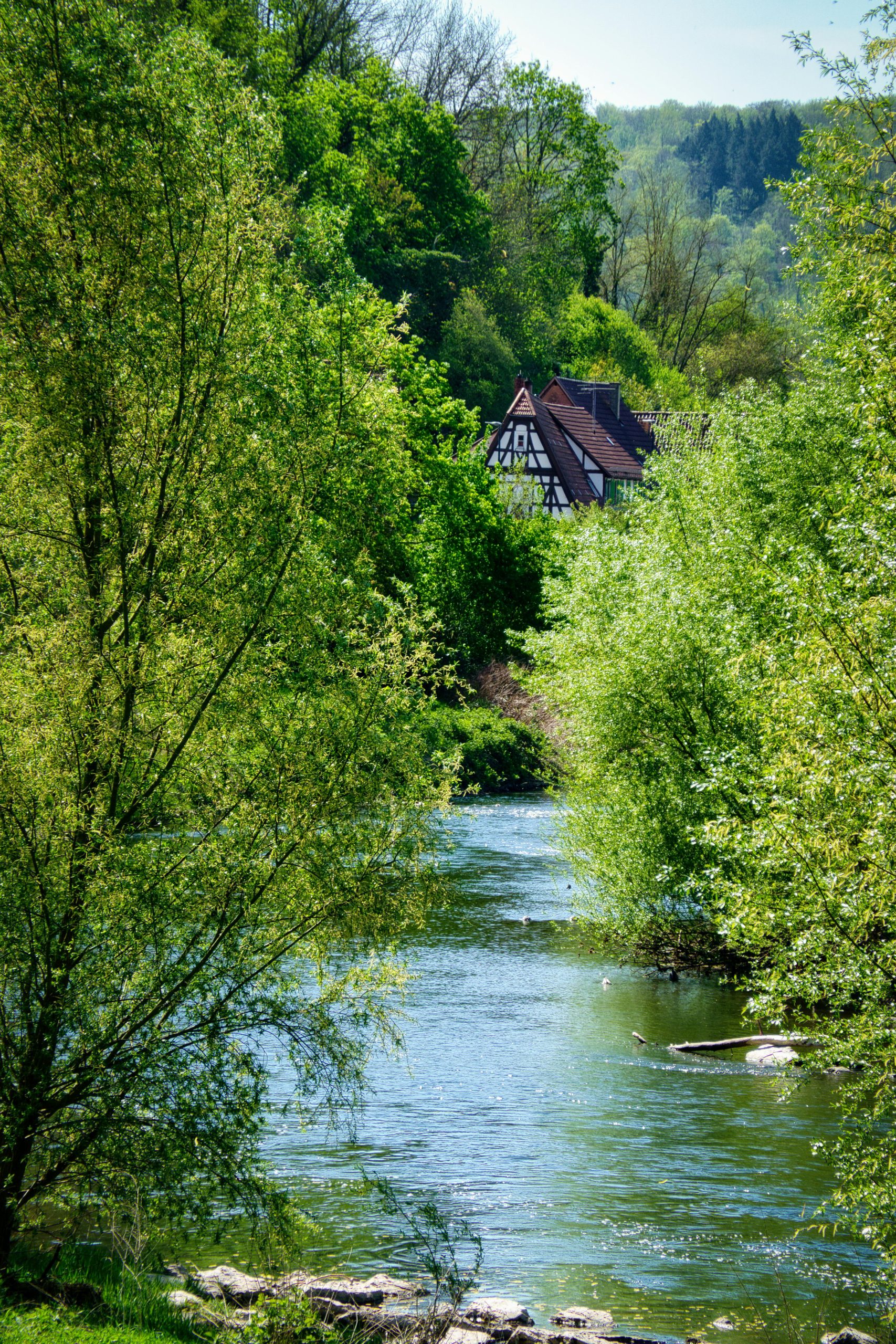 Selva Negra Alemania