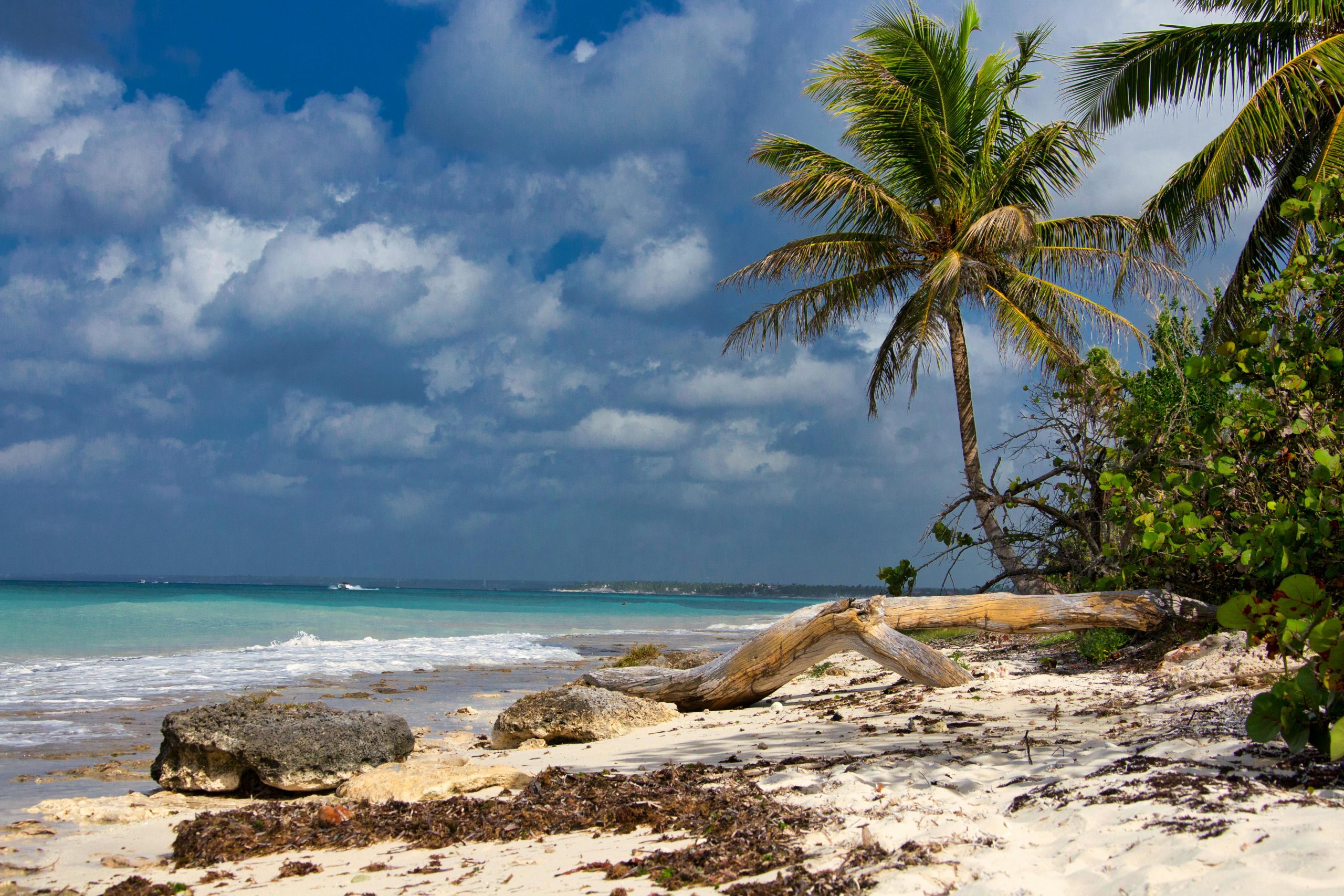 Isla Saona